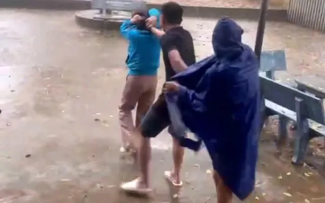 Hành vi của Hà Văn Thúy