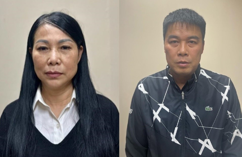 Hành vi vi phạm