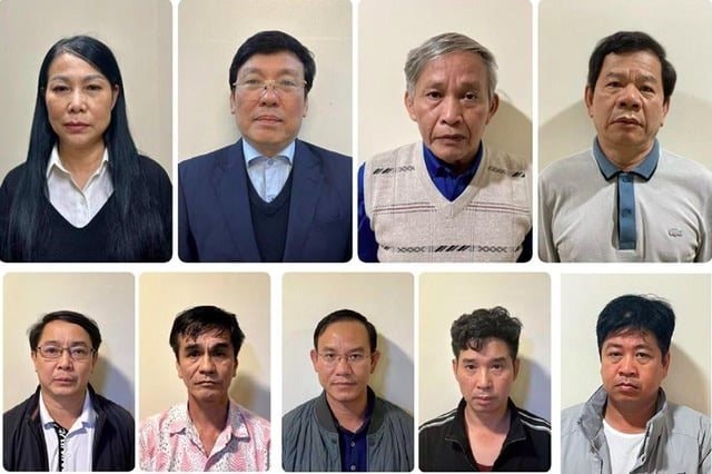 Chỉ ra các hoạt động điều tra